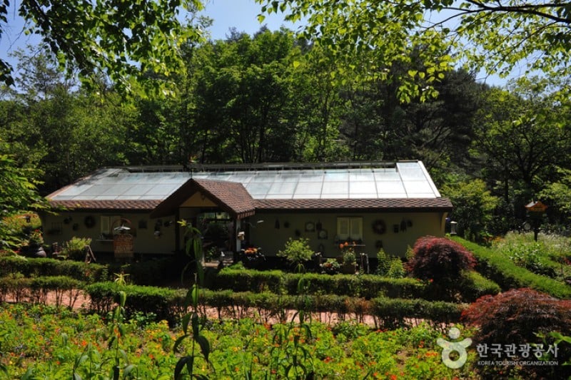 Herbnara Farm  (5/11)
