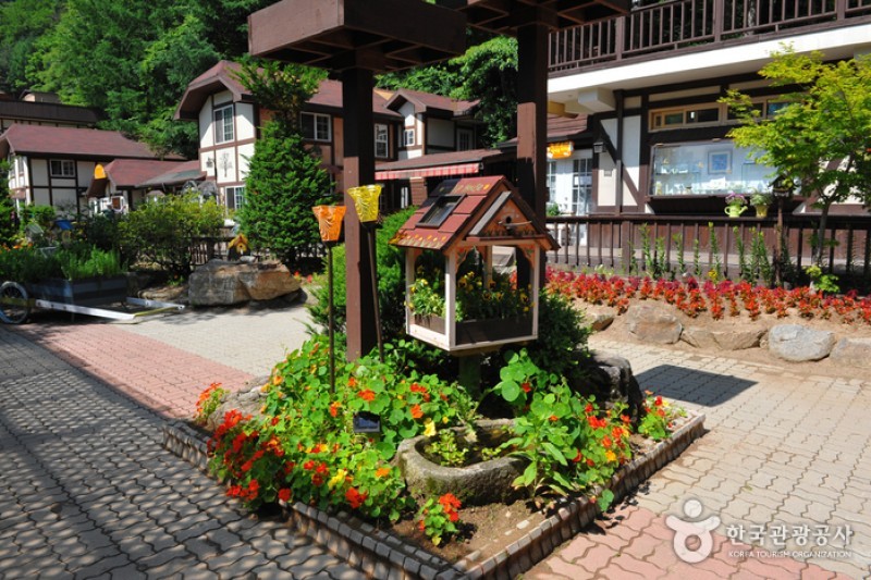 Herbnara Farm  (8/11)