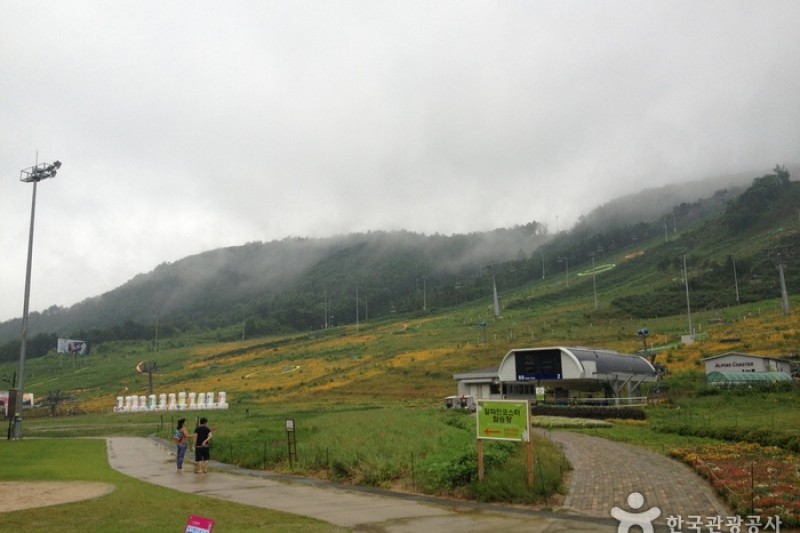 Holiday Inn Resort, Alpensia Pyeongchang  (3/4)