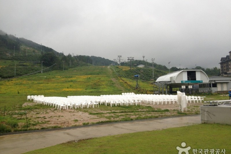 Holiday Inn Resort, Alpensia Pyeongchang  (4/4)