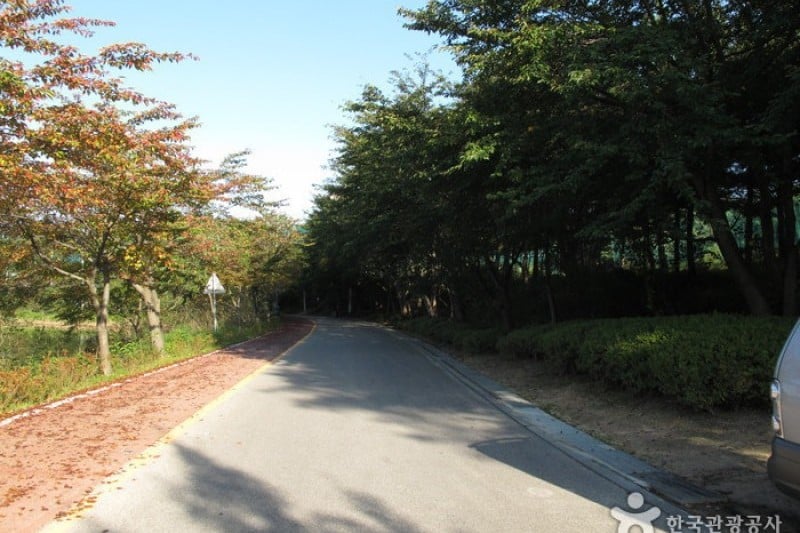 Yeongnangho Lake  (1/22)