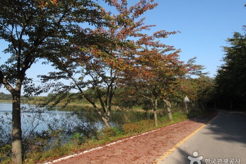 Yeongnangho Lake  (2/22)