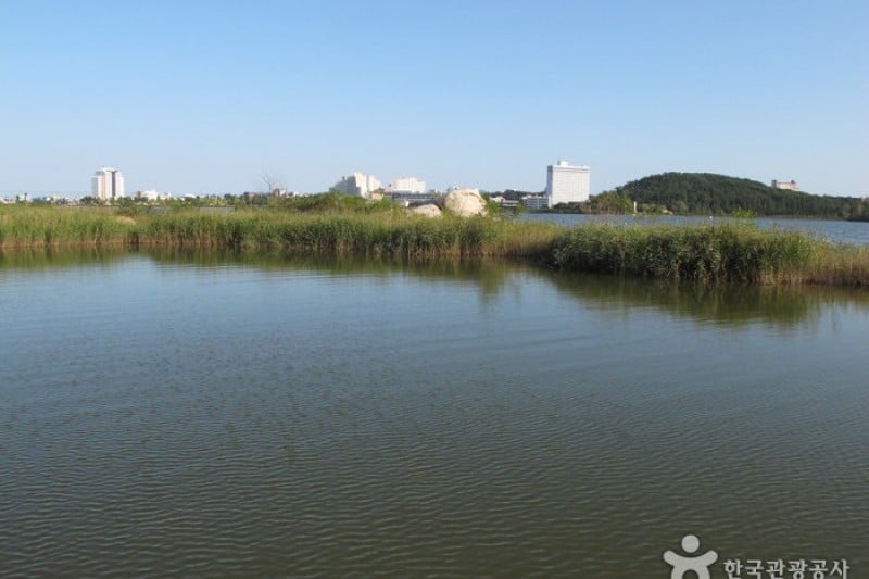 Yeongnangho Lake  (6/22)