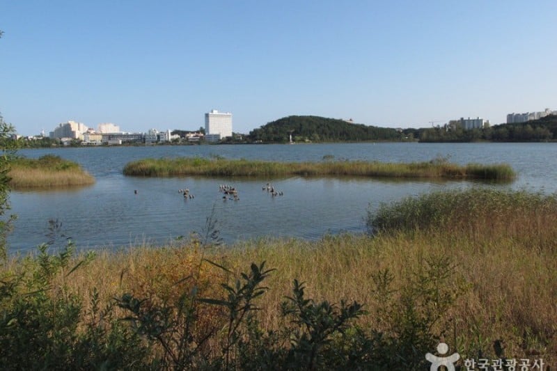 Yeongnangho Lake  (7/22)