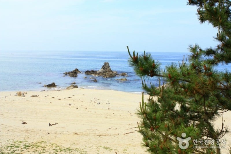 Samcheok Ocean Railbike  (3/33)