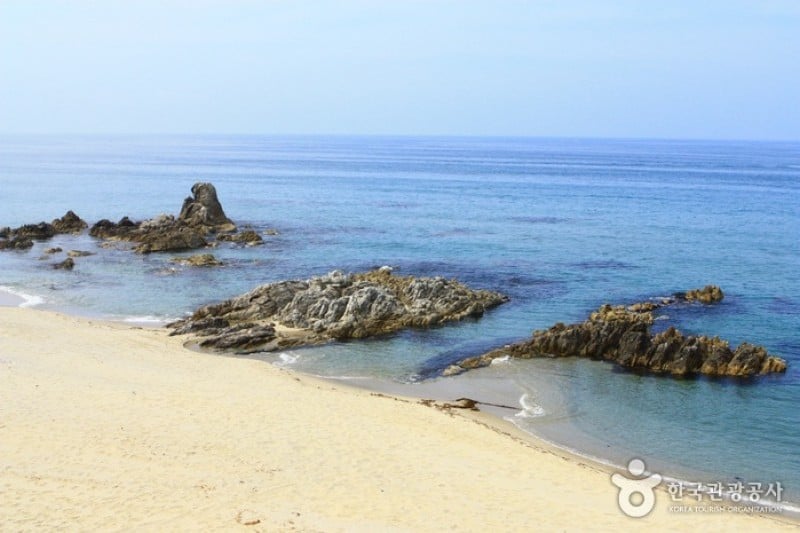 Samcheok Ocean Railbike  (4/33)