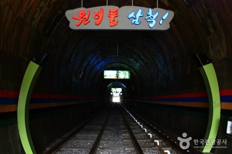 Samcheok Ocean Railbike  (10/33)