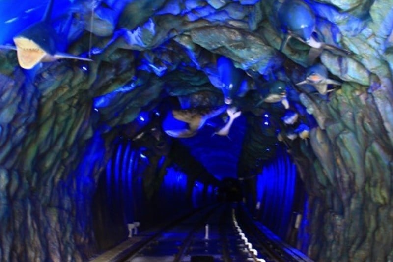 Samcheok Ocean Railbike  (13/33)