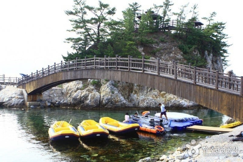Samcheok Ocean Railbike  (33/33)