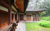Jangsudae 