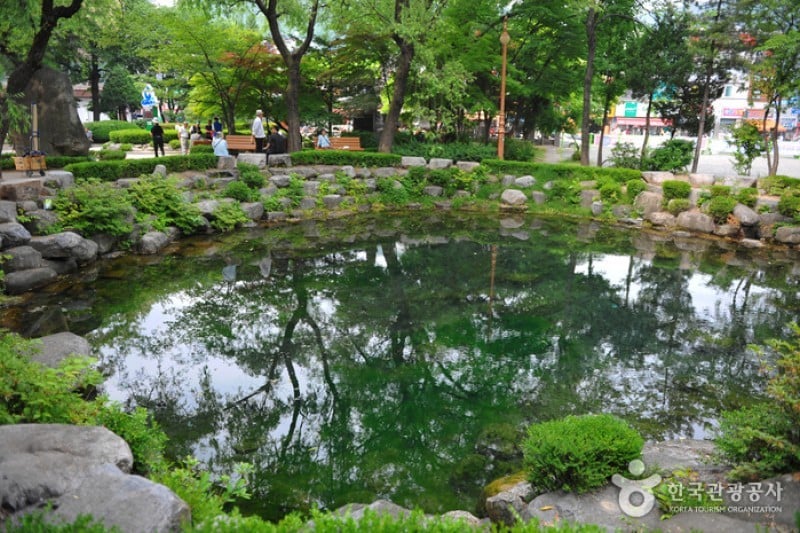 Hwangji Pond  (4/10)