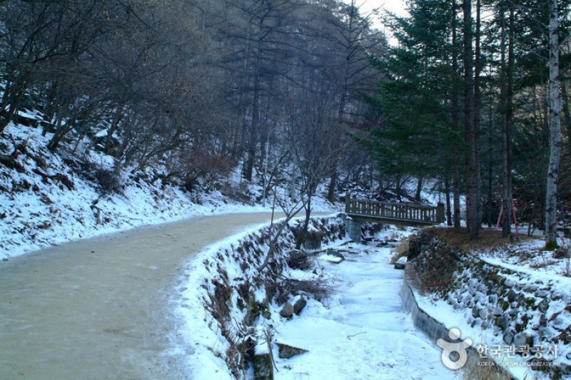 Gugok Falls  (4/16)