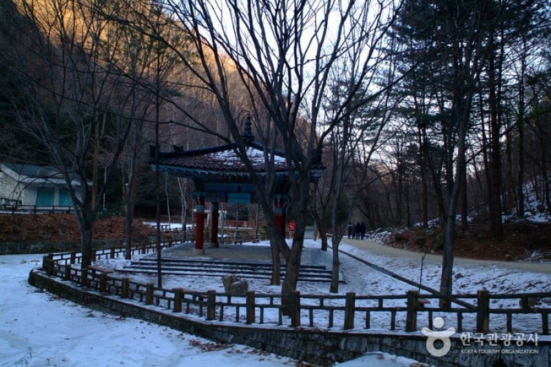 Gugok Falls  (11/16)