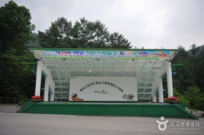 Taebaeksan Provincial Park  (1/5)