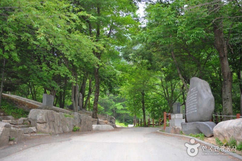 Taebaeksan Provincial Park  (2/5)