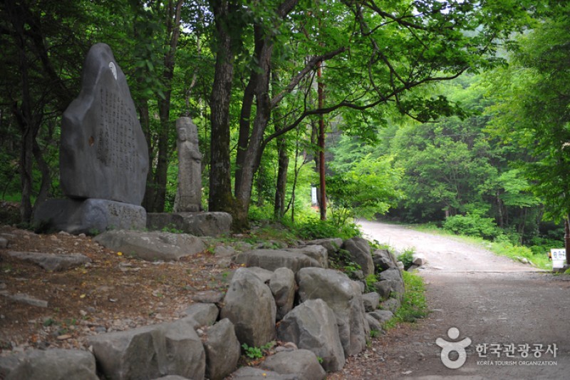 Taebaeksan Provincial Park  (3/5)