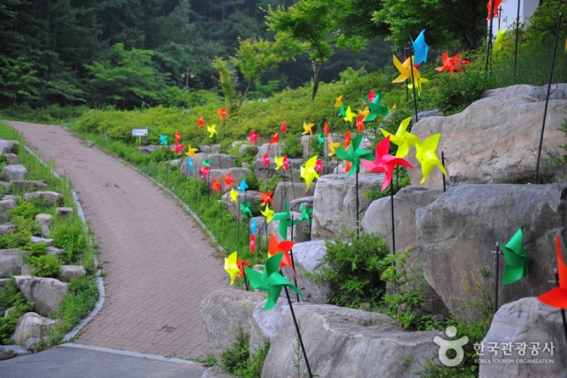 Taebaeksan Provincial Park  (5/5)
