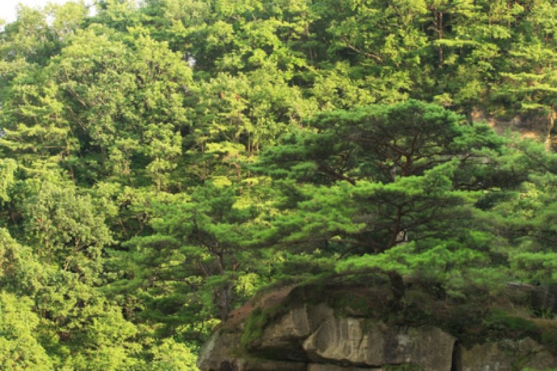 Goseokjeong National Tourist Area  (1/19)