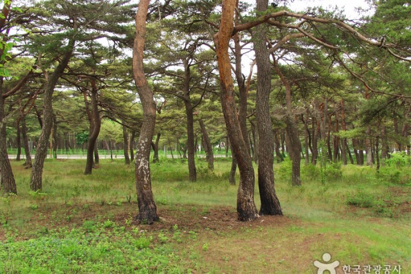 Naksan Provincial Park  (2/4)