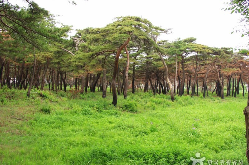 Naksan Provincial Park  (3/4)