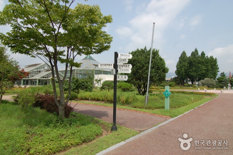 Gangwon-do Provincial Flower Garden  (4/27)