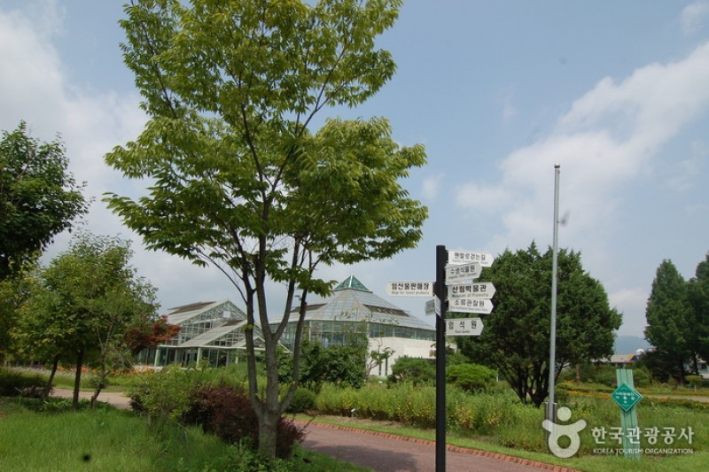 Gangwon-do Provincial Flower Garden  (5/27)