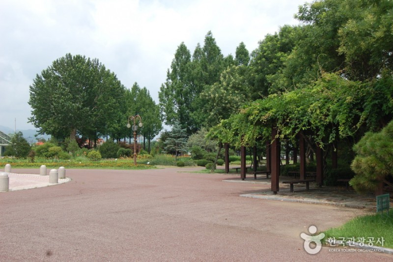 Gangwon-do Provincial Flower Garden  (6/27)