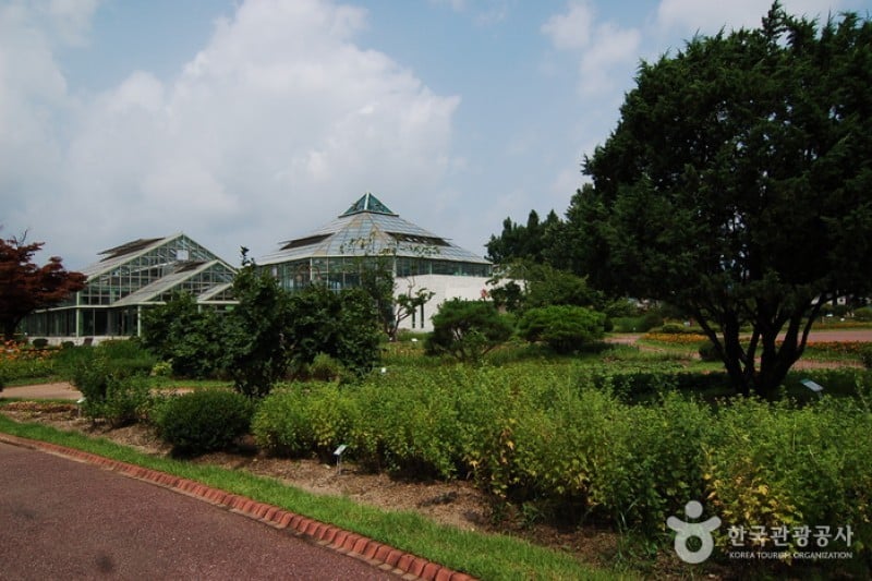 Gangwon-do Provincial Flower Garden  (7/27)