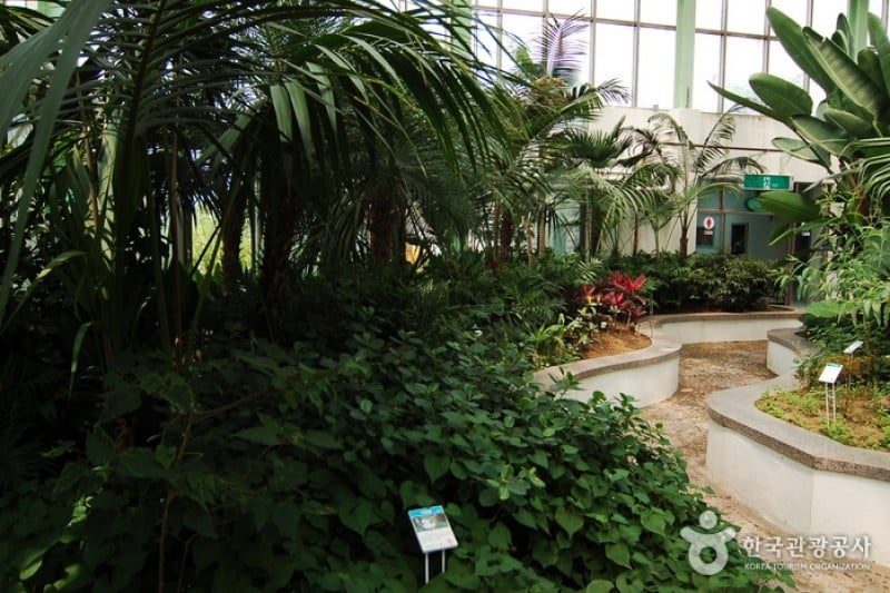 Gangwon-do Provincial Flower Garden  (9/27)