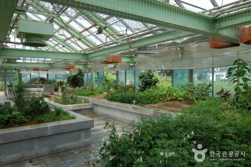 Gangwon-do Provincial Flower Garden  (10/27)