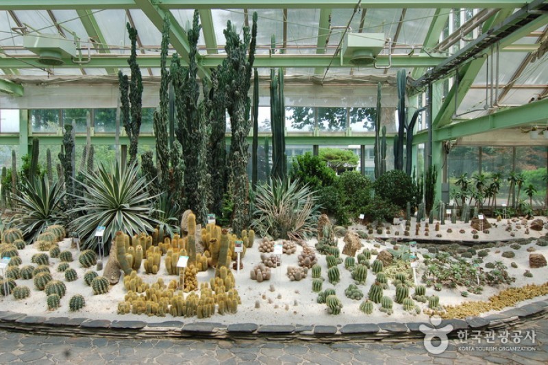 Gangwon-do Provincial Flower Garden  (11/27)