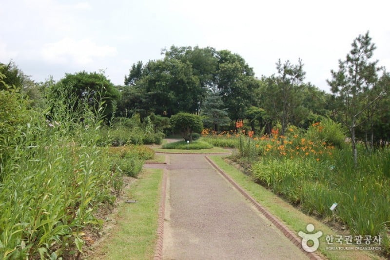 Gangwon-do Provincial Flower Garden  (13/27)