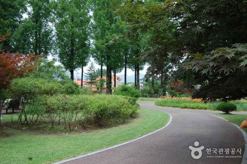 Gangwon-do Provincial Flower Garden  (17/27)