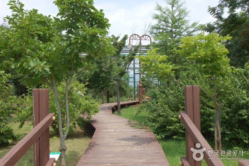 Gangwon-do Provincial Flower Garden  (18/27)