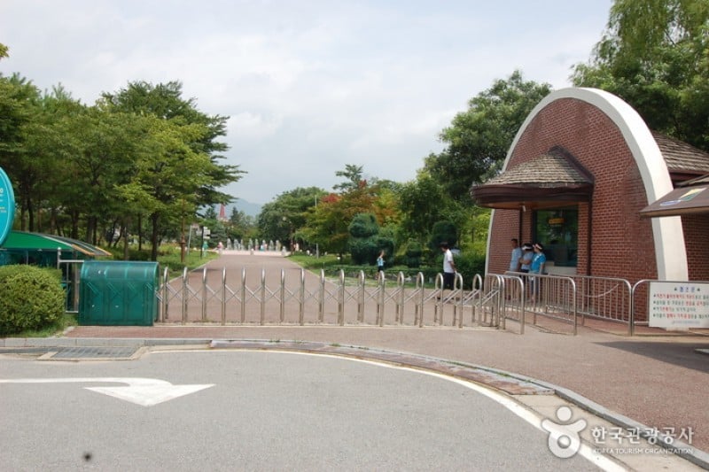 Gangwon-do Provincial Flower Garden  (21/27)