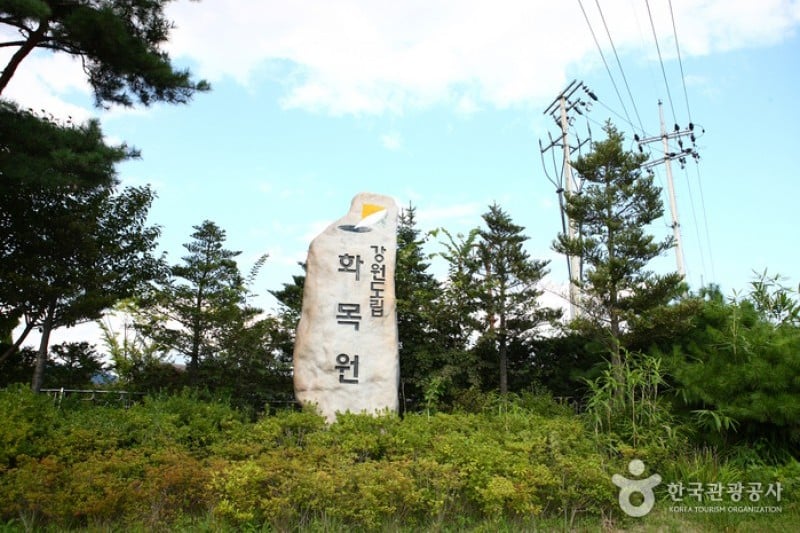 Gangwon-do Provincial Flower Garden  (22/27)