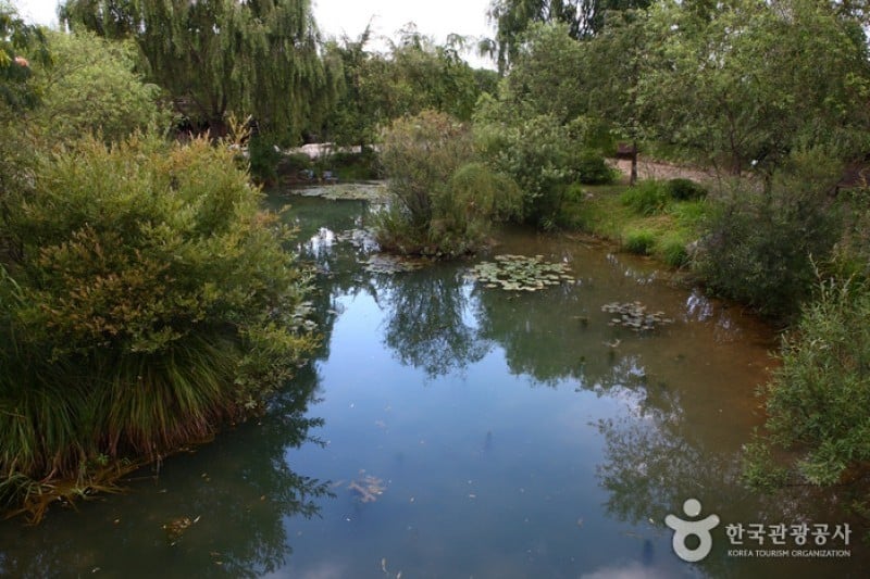 Gangwon-do Provincial Flower Garden  (26/27)