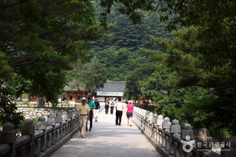Baekdam Valley  (1/12)