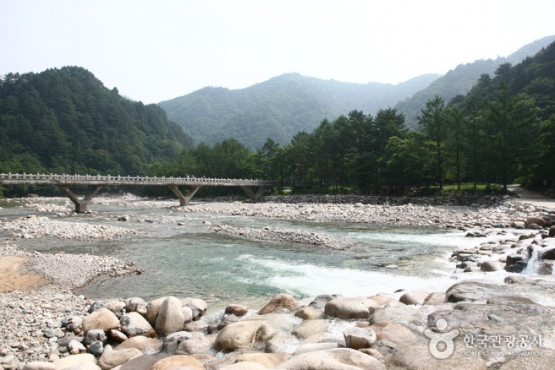 Baekdam Valley  (2/12)