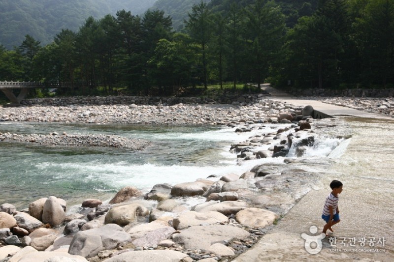 Baekdam Valley  (4/12)