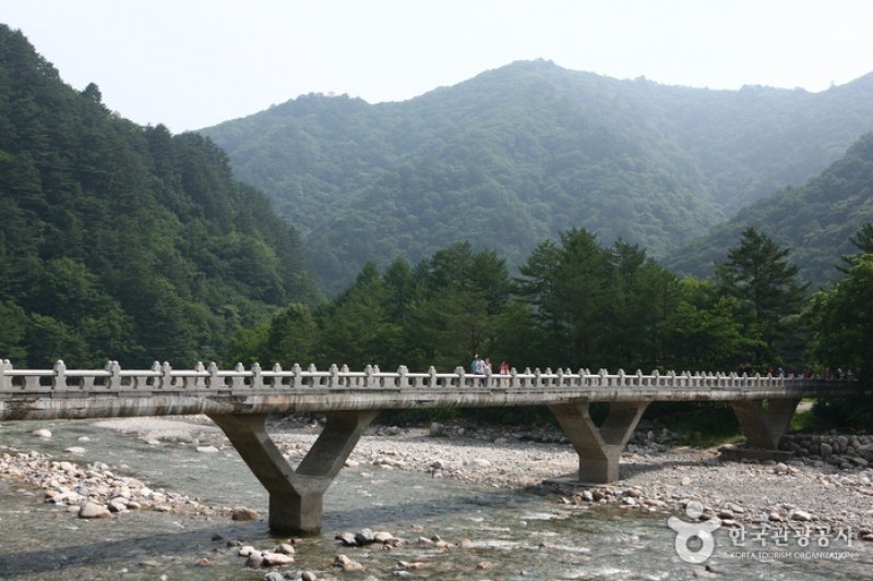 Baekdam Valley  (5/12)