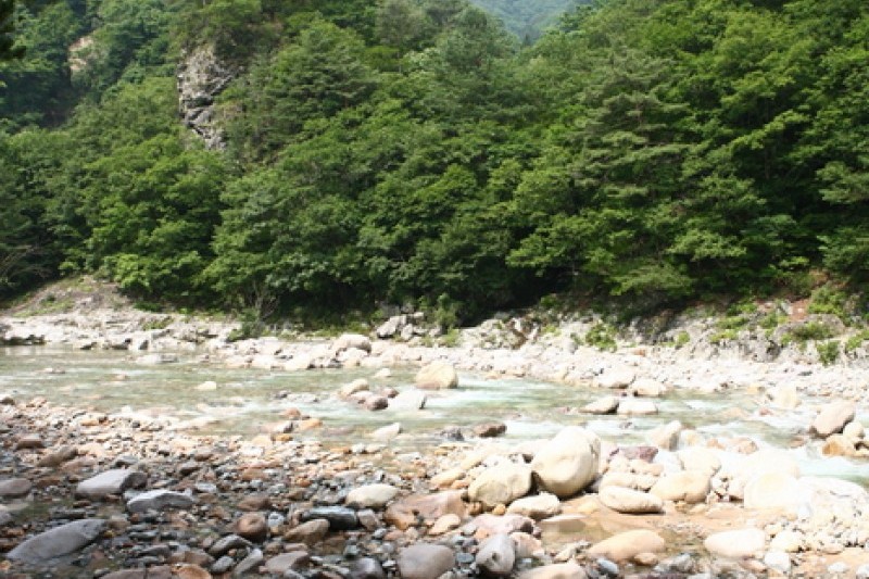 Baekdam Valley  (7/12)