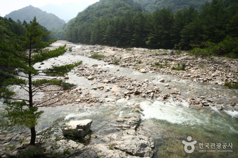 Baekdam Valley  (11/12)