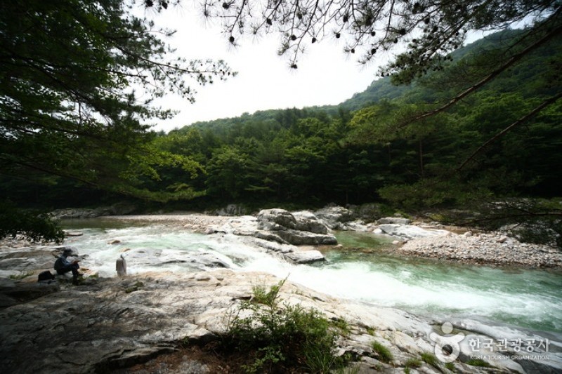 Baekdam Valley  (12/12)