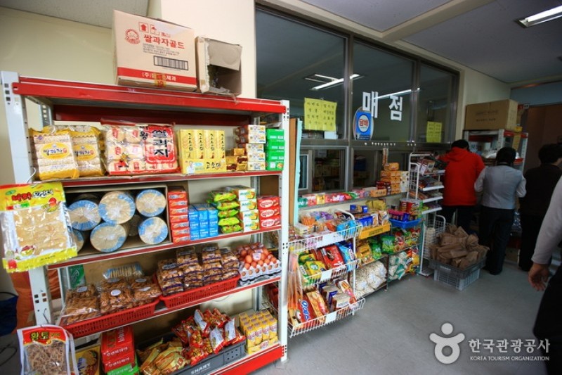 The 2nd Tunnel  (Cheorwon)  (5/6)
