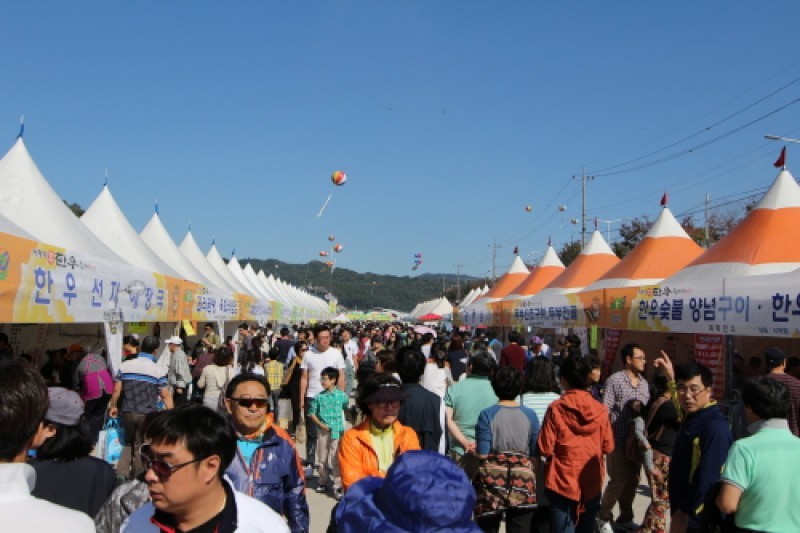 Hoengseong Hanu Festival  (6/7)