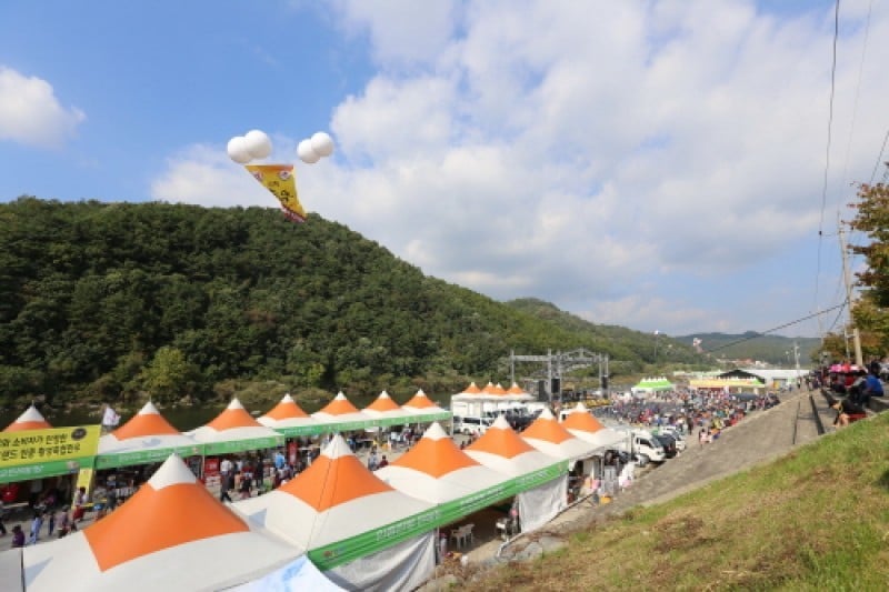 Hoengseong Hanu Festival  (7/7)