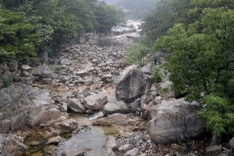 Mureung Valley  (1/4)