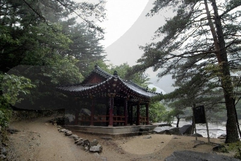 Mureung Valley  (2/4)
