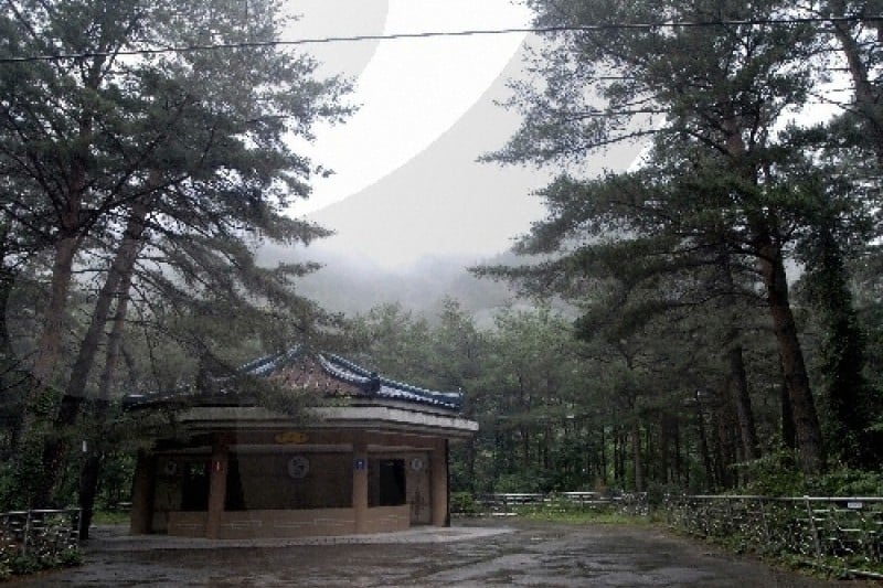 Mureung Valley  (4/4)